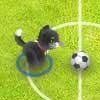  Pet Soccer